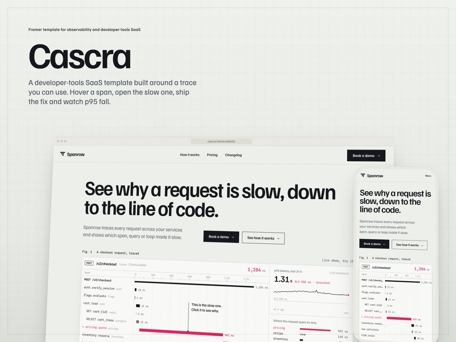 Cascra template, view 1